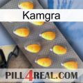 Kamgra cialis1